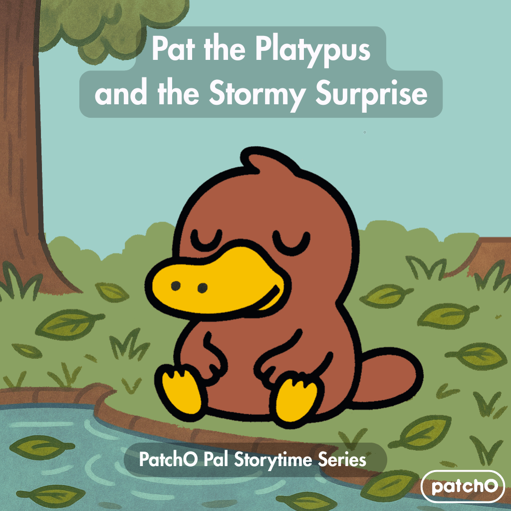 Pat the Platypus and the Stormy Surprise – Audiobook - PatchO